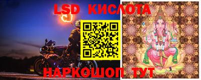 ПСИЛОЦИБИНОВЫЕ ГРИБЫ Краснокаменск