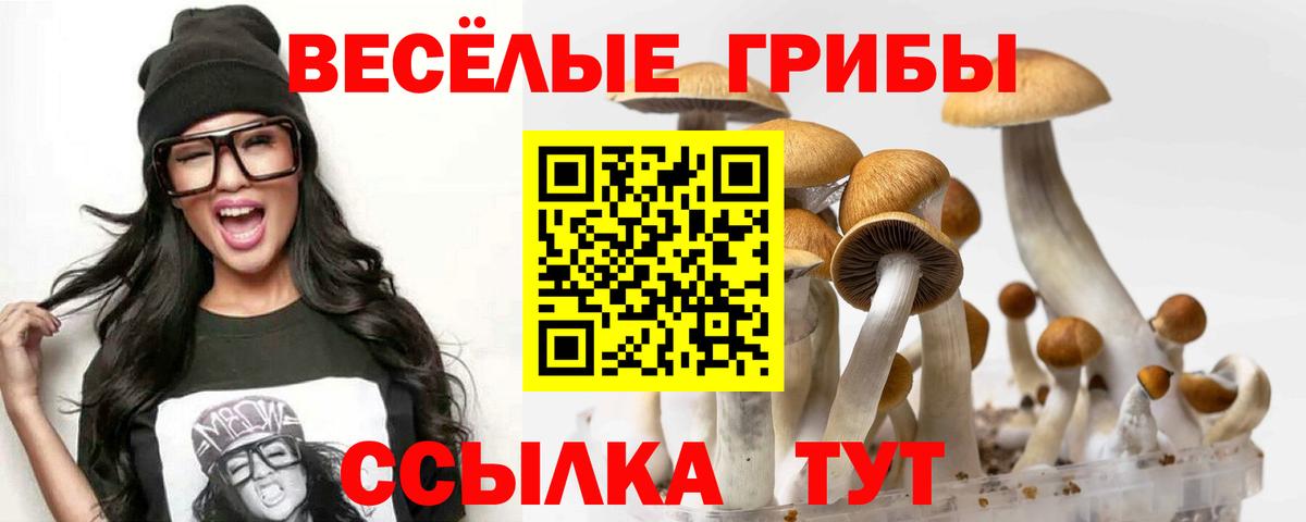 Псилоцибиновые грибы Cubensis Калач-на-Дону
