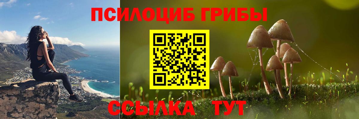 Калач-на-Дону  как найти наркотики  Вход с VPN  Псилоцибиновые грибы Psilocybe  Псилоцибиновые грибы MAGIC MUSHROOMS 